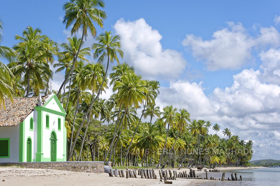 Praia dos Carneiros, Tamandaré - Pernambuco