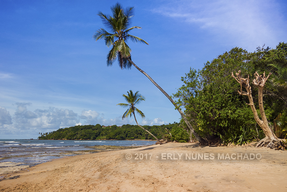 Boipeba, Cairu - Bahia