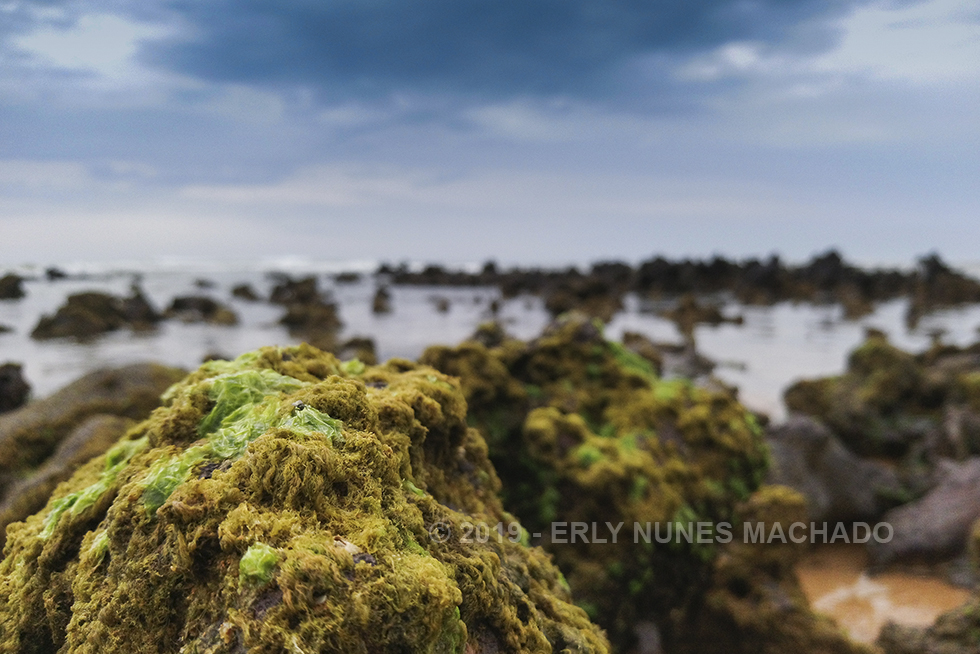 Em algum lugar de Anchieta - Espírito Santo