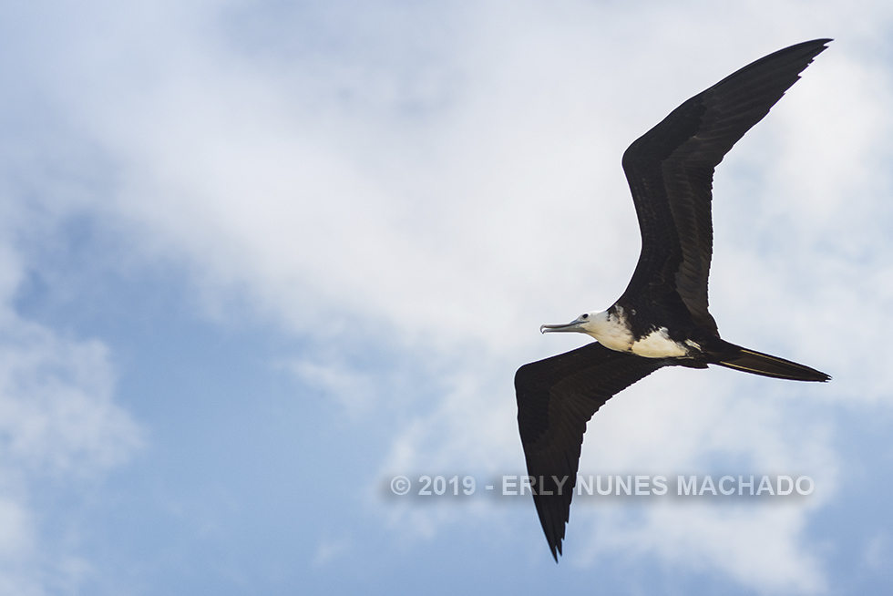 Fragata, Alcobaça - Bahia