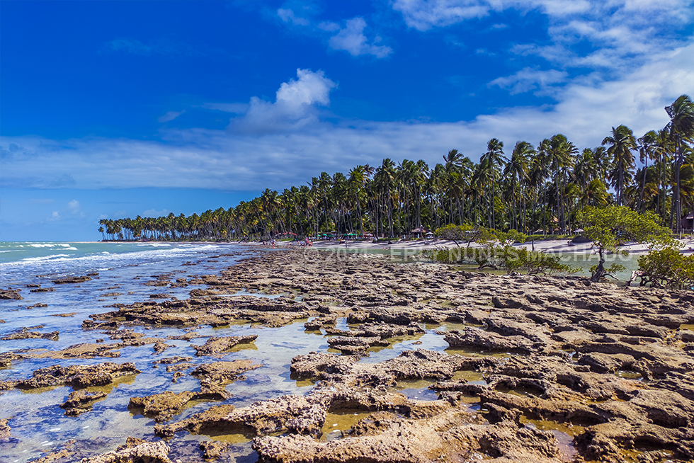 Praia dos Carneiros, Tamandaré - Pernambuco