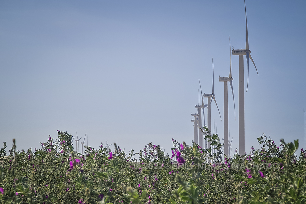 Parque Eólico, Canoa Quebrada, Aracati - Ceará