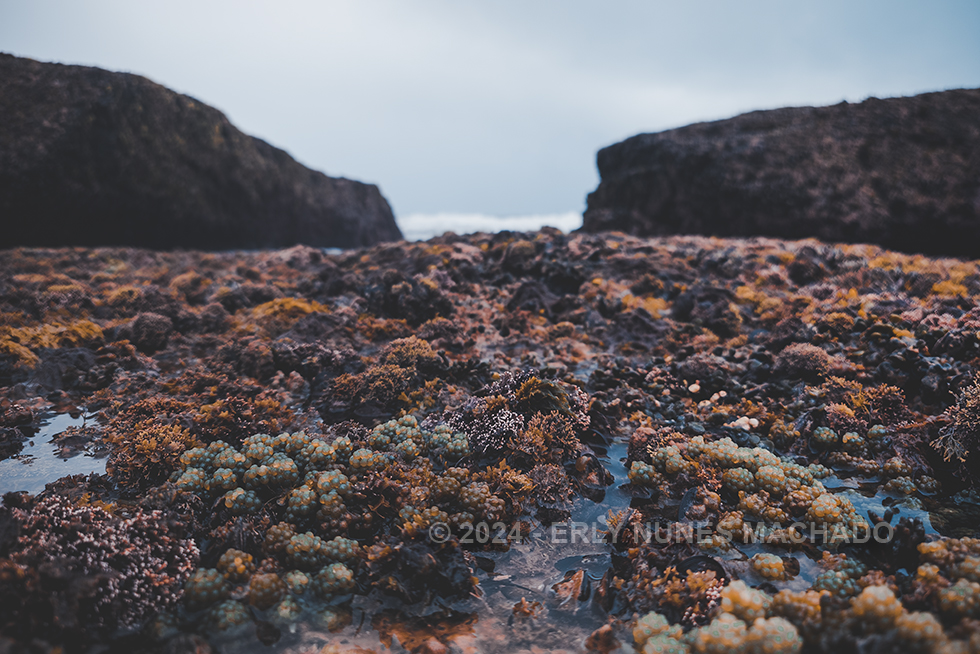 Em algum lugar pelo litroral de Anchieta - Espírito Santo