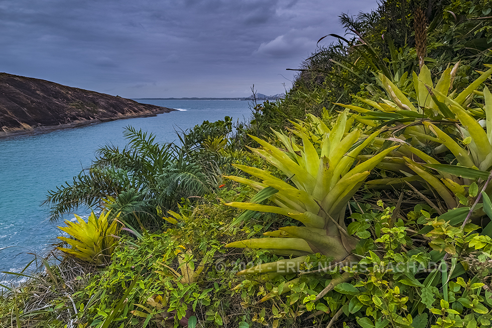 Parque Municipal Morro da Pescaria, Praia do Morro - Guarapari - Espírito Santo