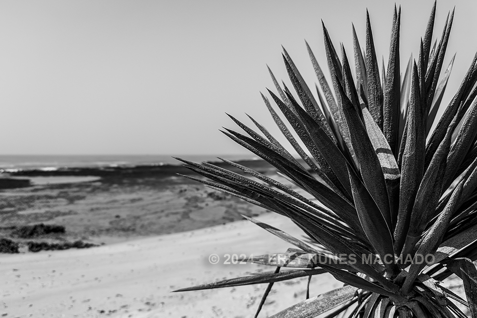 Em algum lugar pelo litroral de Anchieta - Espírito Santo