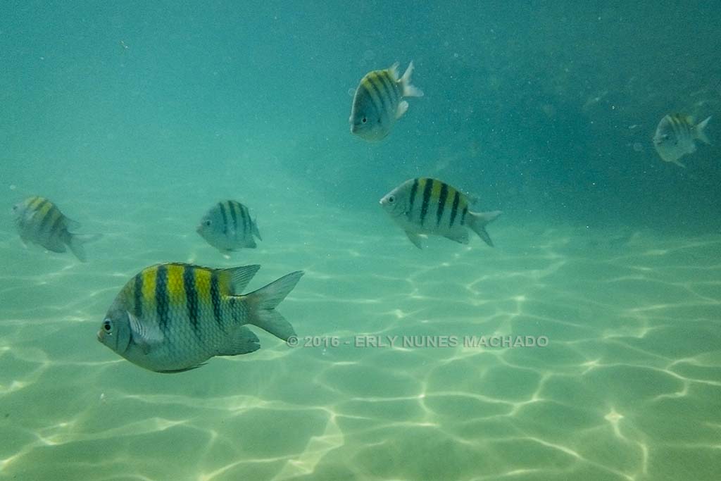 Taipu de Fora, Maraú - Bahia